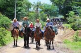 Las Palmas vive la tradicional cabalgata de las pre paseadas