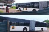 Puerto Vallarta recibe sus primeros autobuses eléctricos de gran capacidad