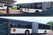 Puerto Vallarta recibe sus primeros autobuses eléctricos de gran capacidad