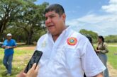 Invitan a disfrutar con responsabilidad las tradicionales Paseadas de Las Palmas