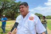 Invitan a disfrutar con responsabilidad las tradicionales Paseadas de Las Palmas