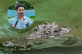 “Los cocodrilos no se van a ir”: piden respetar su hábitat en Puerto Vallarta
