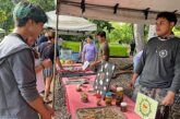 CUCosta participa en el Primer Festival del Cocodrilo en el Estero El Salado