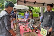 CUCosta participa en el Primer Festival del Cocodrilo en el Estero El Salado