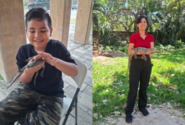 Realizará SEMADET Festival de los Cocodrilos en Puerto Vallarta