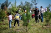 Nueva estrategia plantea restaurar ecosistemas de Jalisco con 75 acciones