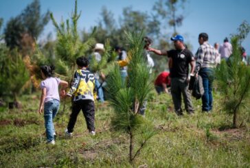 Nueva estrategia plantea restaurar ecosistemas de Jalisco con 75 acciones