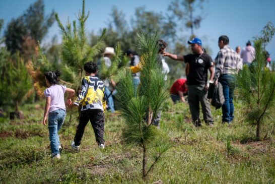 Nueva estrategia plantea restaurar ecosistemas de Jalisco con 75 acciones
