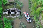 Drones y embarcaciones se suman a la búsqueda de cocodrilos en Mojoneras