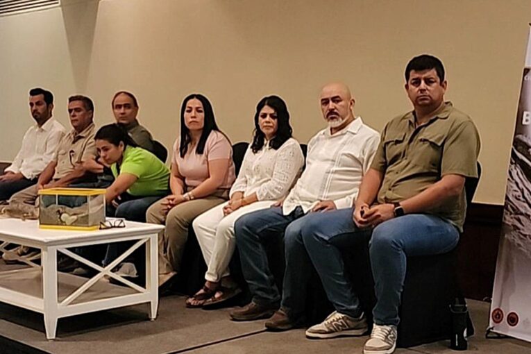 Expertos y autoridades sobre los cocodrilos en VALLARTA