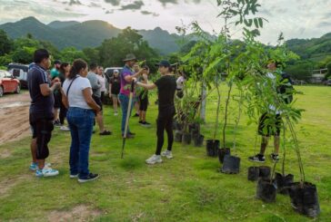 Puerto Vallarta planta más de 800 árboles en Jornada Nacional de Reforestación