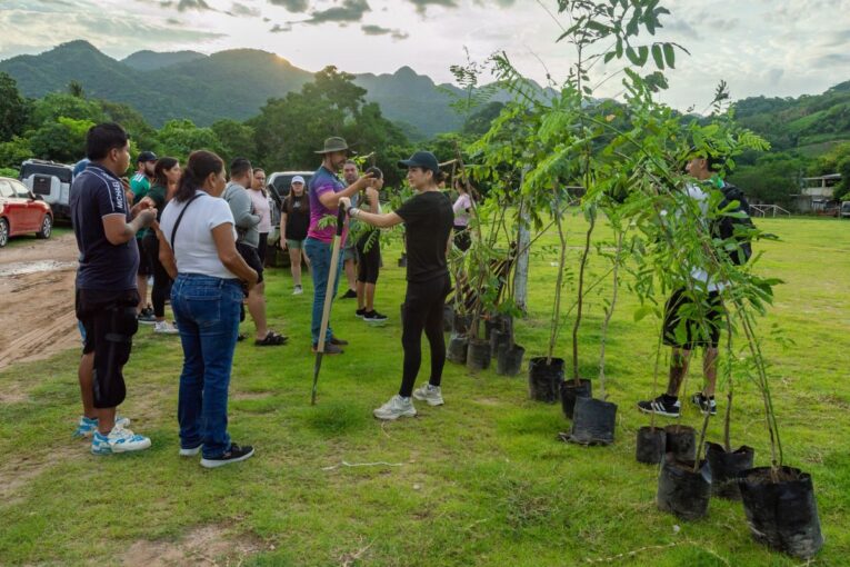 Plantan árboles en Puerto Vallarta