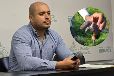 Municipio admite presencia de presuntos traficantes de la tortuga 