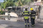 Incendio de autobús moviliza a Bomberos en el Libramiento Luis Donaldo Colosio