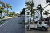 Continúa mantenimiento de espacios verdes en Puerto Vallarta