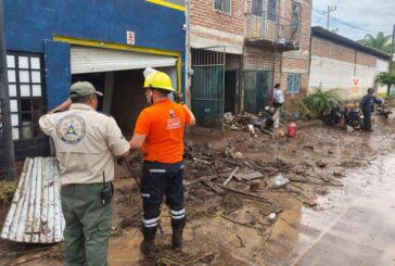 Desbordamiento del Arroyo Zapotlanejo deja 46 viviendas afectadas