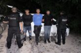 Avanza proceso legal contra presuntos traficantes de tortuga 
