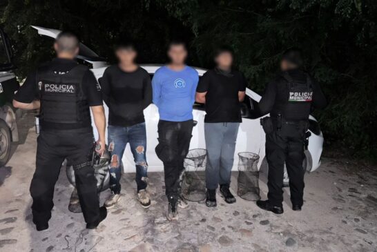 Avanza proceso legal contra presuntos traficantes de tortuga 