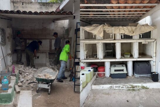 Gobierno municipal y Rescatando amor AC rehabilitan jaulas del Centro de Control Animal