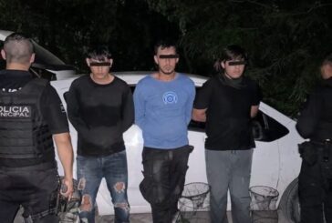 Caen tres hombres con trampas para capturar la tortuga Casquito de Vallarta