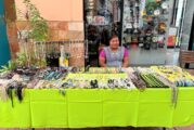 Emprendedores de sectores prioritarios exhiben su talento en Mercado Vallarta Incluye
