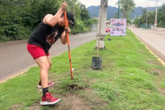 Cabildo de la Diversidad participa en jornada para plantar árboles entre Vallarta 500 y El Pitillal