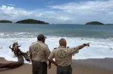 Cierran todas las playas de Jalisco por fuerte oleaje ante efectos de 